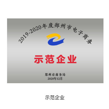 郑州市电子商务示范企业